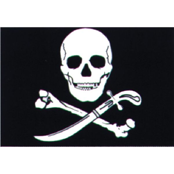 Pirate flag 20x30