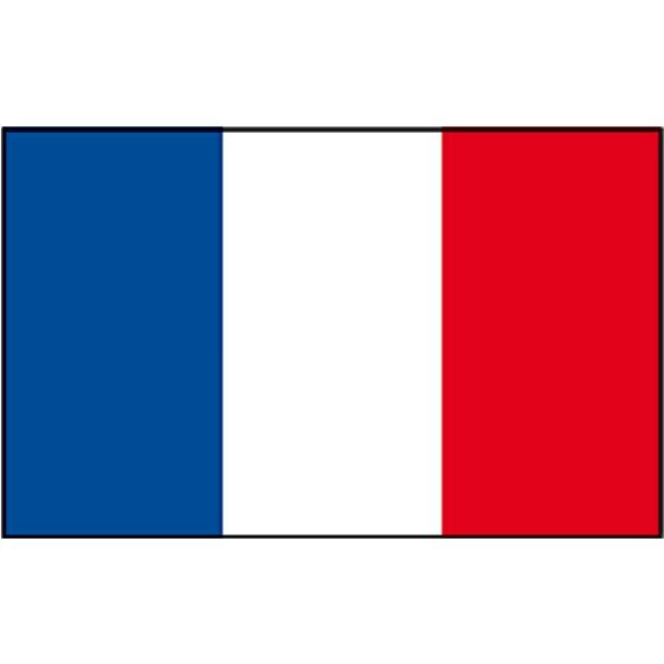 Französische Flagge 50x75
