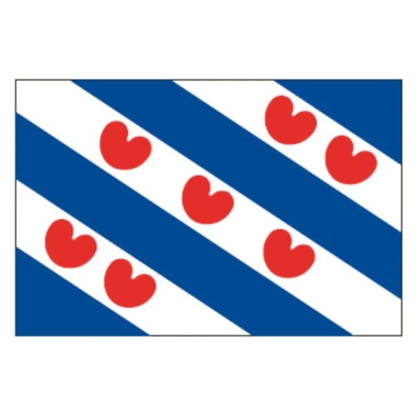 Friese vlag 200x300
