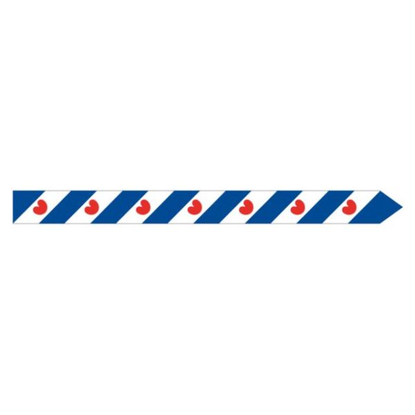 Frisian pennant 3m